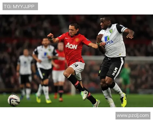 2017年热刺与利物浦激战回顾：精彩瞬间与战术分析